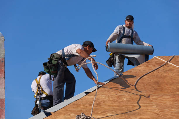 Best Emergency Roof Repair  in Enfield, NC