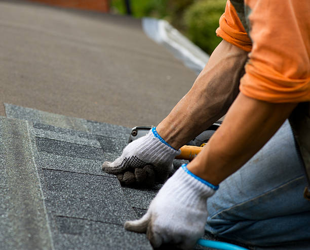 Quick and Trustworthy Emergency Roof Repair Services in Enfield, NC
